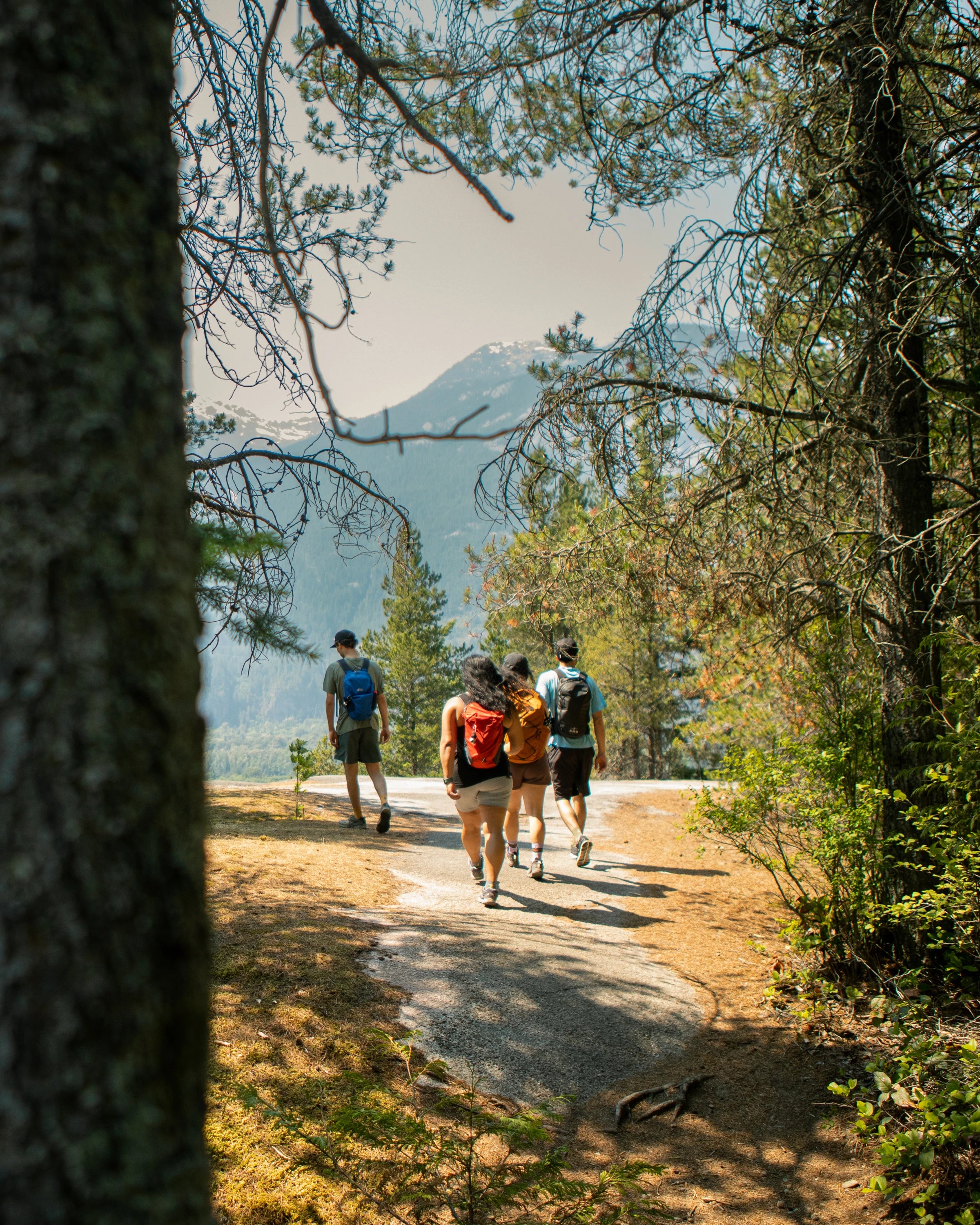 A group of hikers approaching a mountain viewpoint